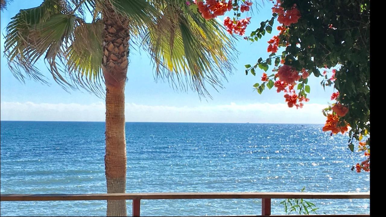 Mi Capricho A17 Beachfront Apartment Ла Кала де Михас Екстериор снимка